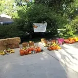 Zaiser Pumpkin Farm photo