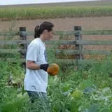Zaiser Pumpkin Farm photo