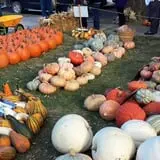 Zaiser Pumpkin Farm photo