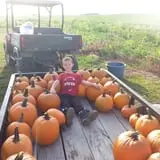 Zaiser Pumpkin Farm photo