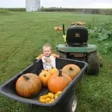 Zaiser Pumpkin Farm photo