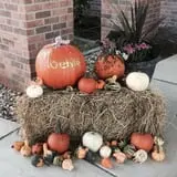 Zaiser Pumpkin Farm photo
