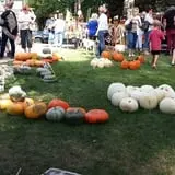 Zaiser Pumpkin Farm photo