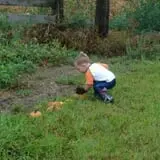 Zaiser Pumpkin Farm photo