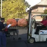 Zaiser Pumpkin Farm photo