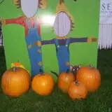 Zaiser Pumpkin Farm photo
