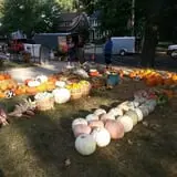 Zaiser Pumpkin Farm photo