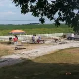 Zaiser Pumpkin Farm photo