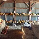 Zaiser Pumpkin Farm photo
