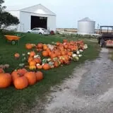 Zaiser Pumpkin Farm photo