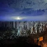 Hollow Acres   photo