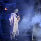 Hollow Acres   photo