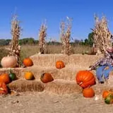 Barnyard Apocalypse At Willis Farm photo