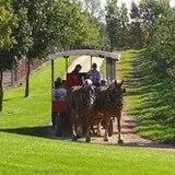 Edwards Apple Orchard photo