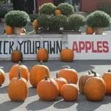 Tantillo's Farm photo