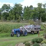 Tantillo's Farm photo