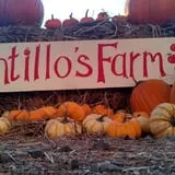 Tantillo's Farm photo