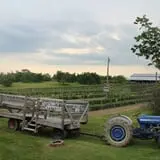 Tantillo's Farm photo
