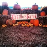 Tantillo's Farm photo