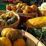 Tantillo's Farm photo