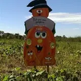 Tantillo's Farm photo