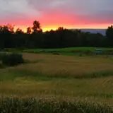 Tantillo's Farm photo