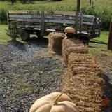 Tantillo's Farm photo