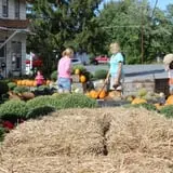 Tantillo's Farm photo