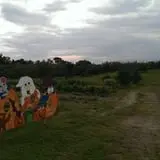 Tantillo's Farm photo