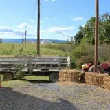 Tantillo's Farm photo