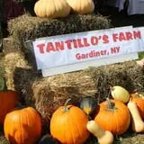 Tantillo's Farm photo