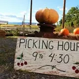 Tantillo's Farm photo