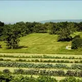 Tantillo's Farm photo