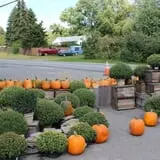 Tantillo's Farm photo