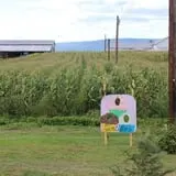 Tantillo's Farm photo