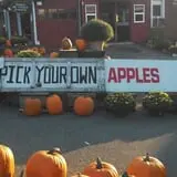 Tantillo's Farm photo