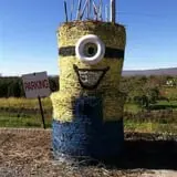Tantillo's Farm photo