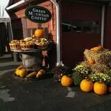 Tantillo's Farm photo