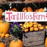 Tantillo's Farm photo