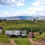 Tantillo's Farm photo