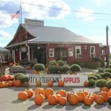 Tantillo's Farm photo