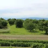 Tantillo's Farm photo