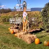 Tantillo's Farm photo