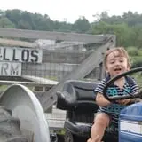 Tantillo's Farm photo