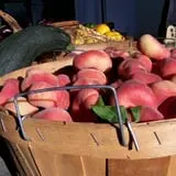 Tantillo's Farm photo