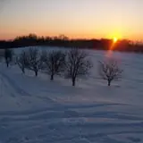 Tantillo's Farm photo
