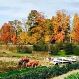 Tantillo's Farm photo