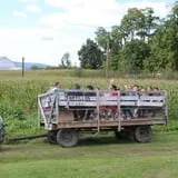 Tantillo's Farm photo
