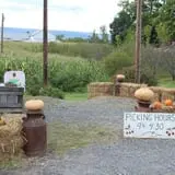Tantillo's Farm photo