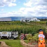 Tantillo's Farm photo